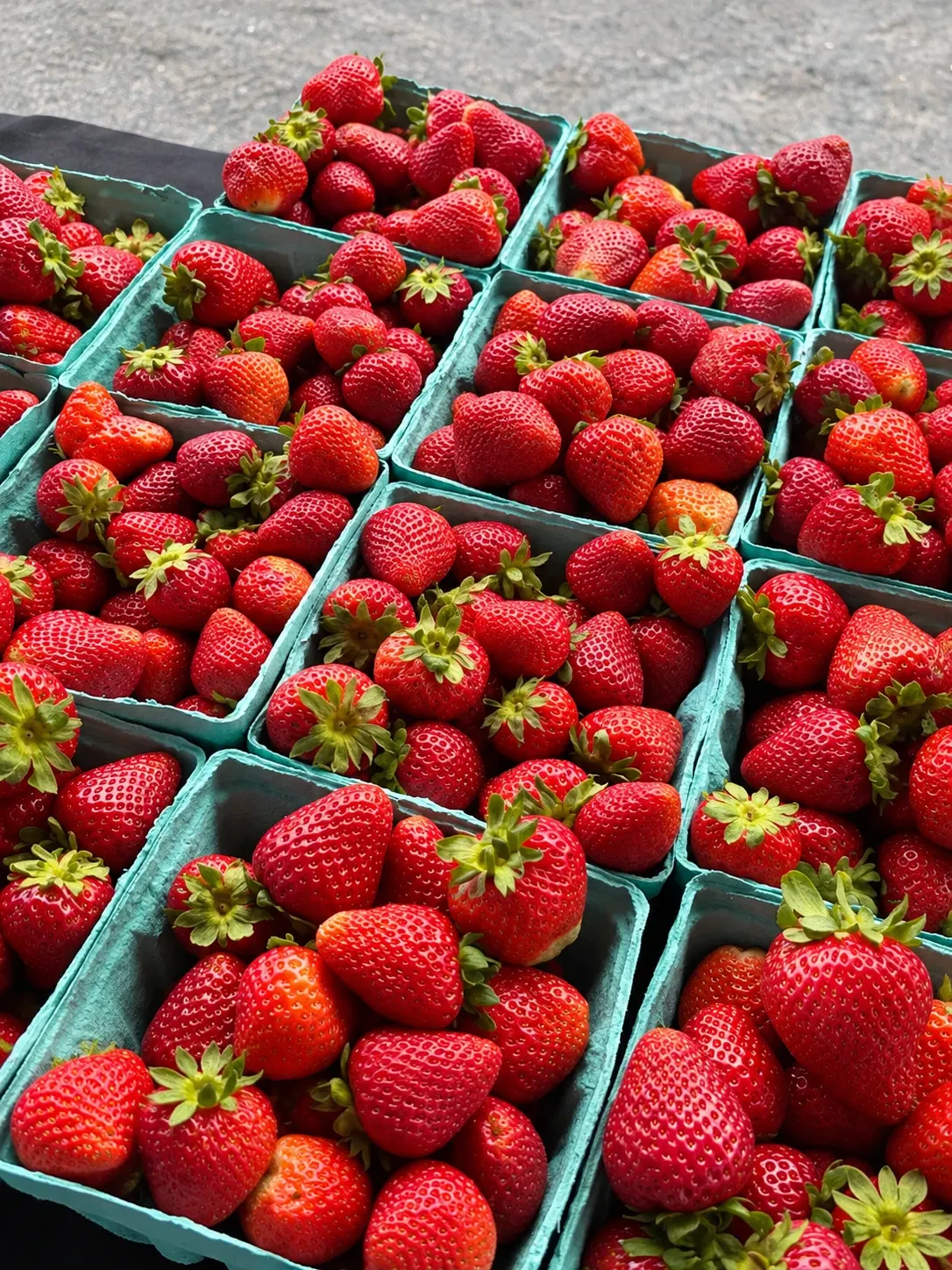 Fresh strawberries in turquoise harvest baskets