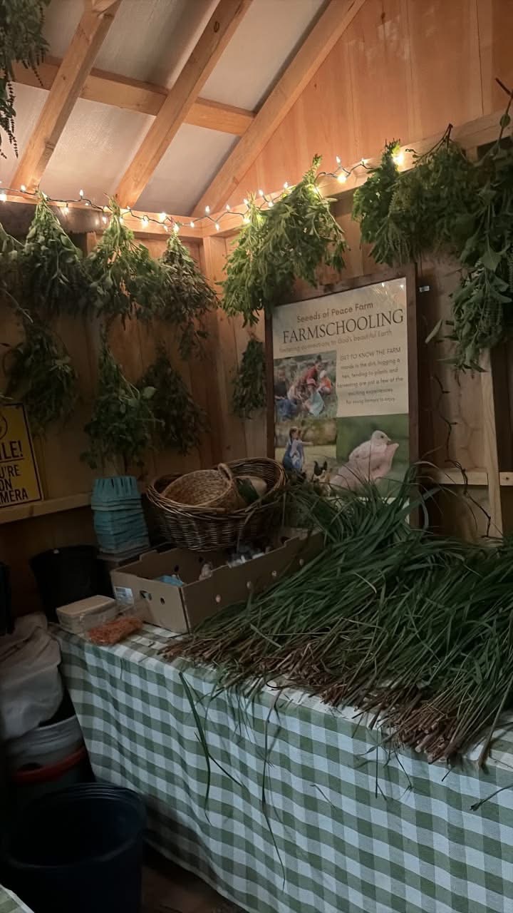 Bundles of herbs hanging to dry inside the farm building beside a Seeds of Peace Farmschooling display