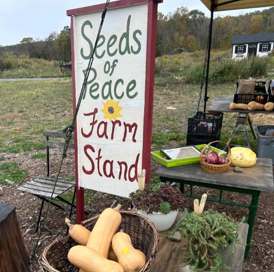 Seeds of Peace Farm Stand sign with butternut squash, onions and herbs