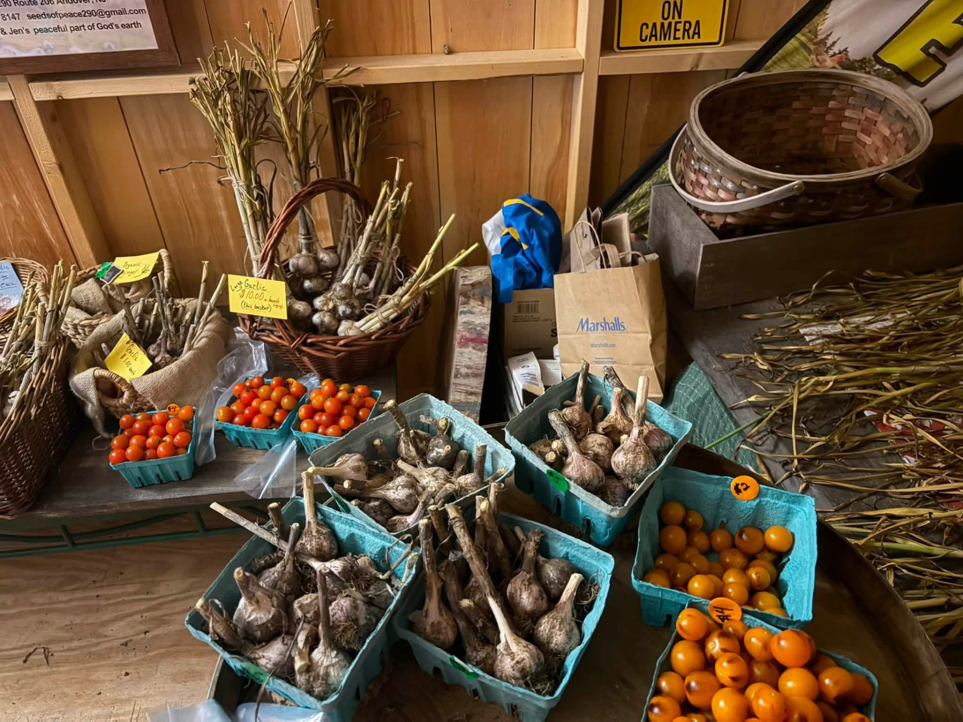 Baskets of freshly harvested garlic beside small red and golden tomatoes in the farm stand
